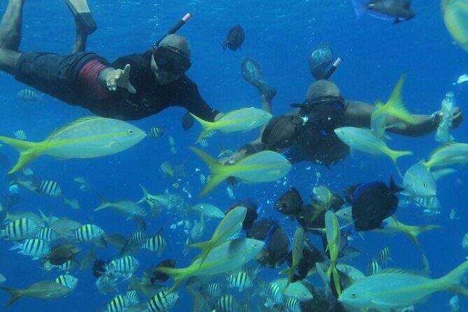 VIP Party Boat & Snorkeling - The Experience: What to Expect