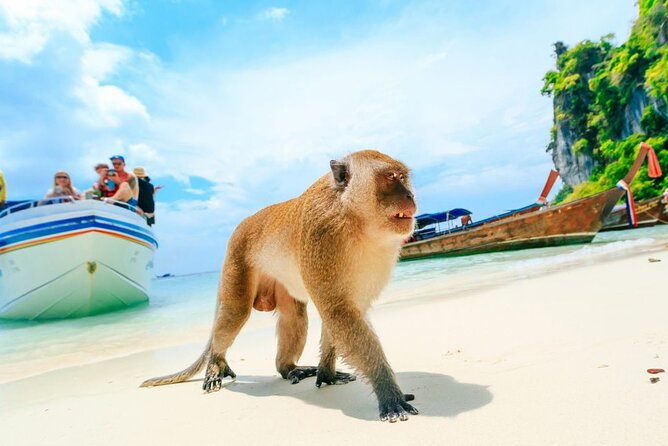 VIP Private Boat to Phi Phi Island: Snorkeling + Land Tour - Snorkeling Opportunities