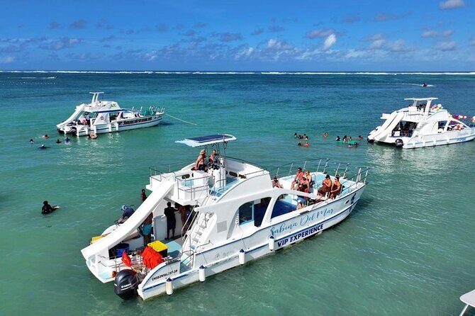 VIP Private Booze Cruise with Live Dj and BBQ in Punta Cana - Key Points