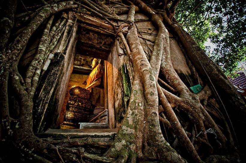 VIP Private Group Tour to the Iconic Thailands Markets - Participant Information