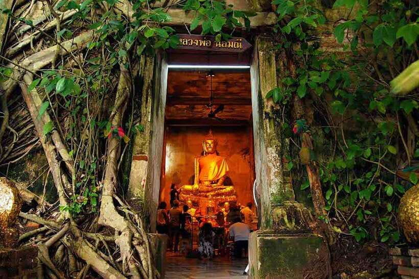 VIP Private Group Tour to the Iconic Thailands Markets - Maeklong Railway Market