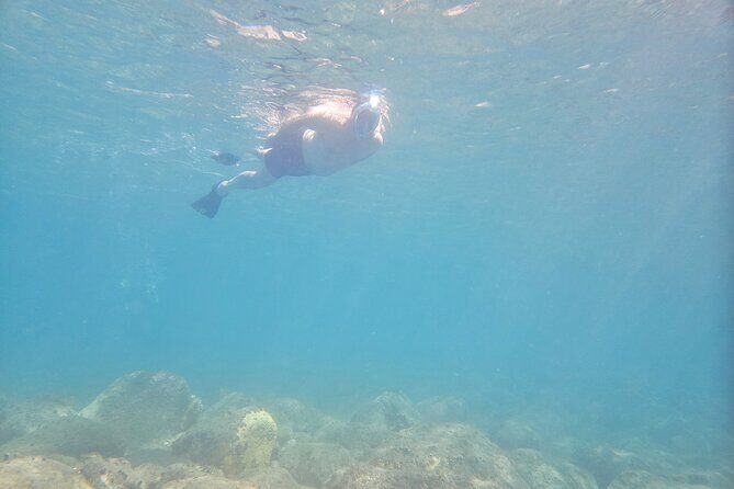 VIP Private Guided Scuba Diving/Snorkeling Excursion - Analyzing the Value