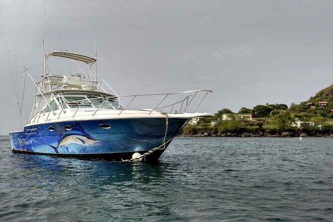 VIP Private Guided Scuba Diving/Snorkeling Excursion - The Sum Up