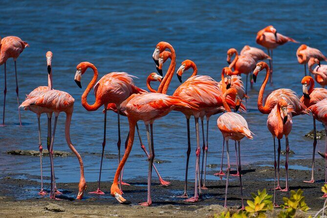 VIP Private Highlight Tour  North & South - Key Points