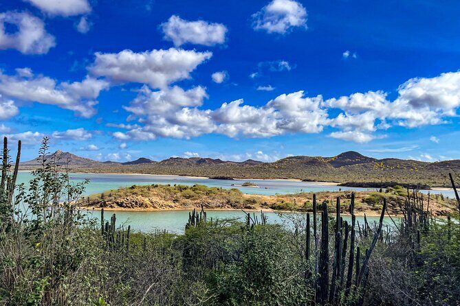 VIP Private Highlight Tour  North & South - The Sum Up