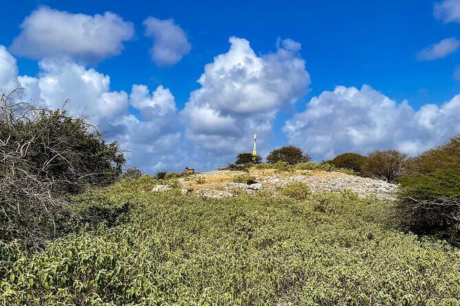 VIP Private North Island Tour - Why Choose This Tour?