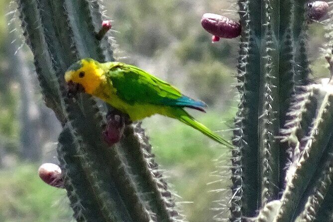 VIP Private North Island Tour - FAQ