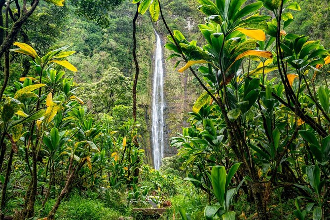 VIP Private Road to Hana Tour With Pick up - Inclusions and Amenities