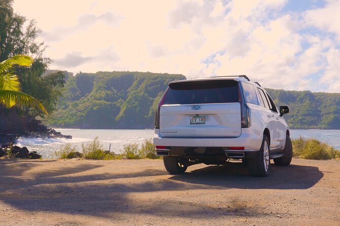 VIP Private Road to Hana Tour With Pick up - Testimonials and Feedback