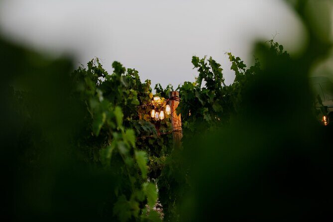 VIP Private Split/Trogir: Chef-Prepared Meal With Wine, Sea View - Who Will Love This Tour?