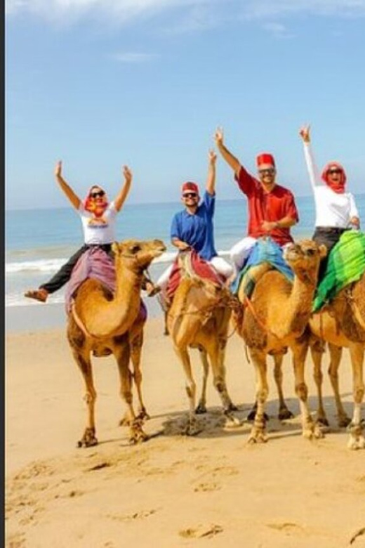 Vip Private Tangier Tour From Tarifa With Ali All Included - Itinerary Highlights