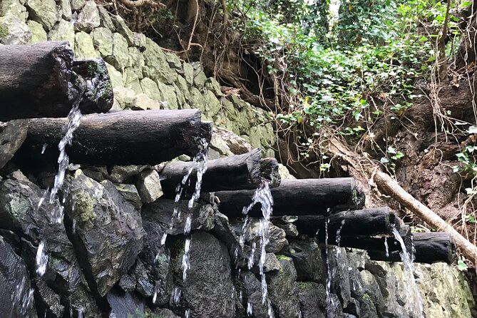 VIP Route Through La Gomera - Meeting and Pickup Details