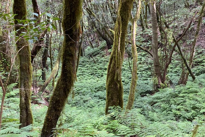 VIP Route Through La Gomera - Accessibility and Transportation