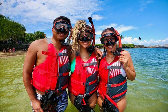 VIP San Juan: Snorkeling Tour with Turtles with Free Videos - What to Bring and Tips for Success