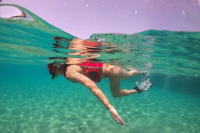 VIP San Juan: Snorkeling Tour with Turtles with Free Videos - The Sum Up: Who Will Love This Tour?