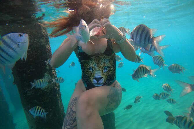 VIP San Juan: Snorkeling Tour with Turtles with Free Videos - FAQ