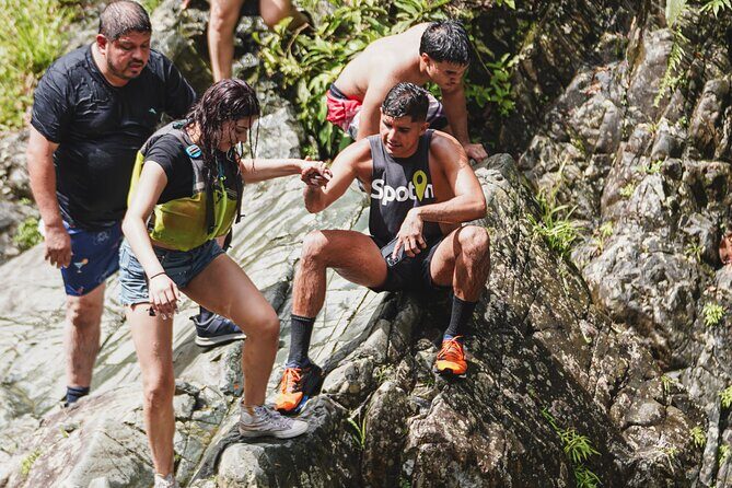 VIP Small Group El Yunque Rainforest Adventure - Who Should Book This Tour?