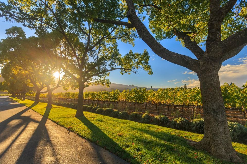 VIP Swan Valley Wine Tour - Premium Small Group Wine Tour - Customer Testimonials