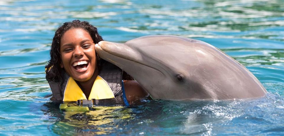 VIP Swim With Dolphins at Ocean World Puerto Plata - Highlights