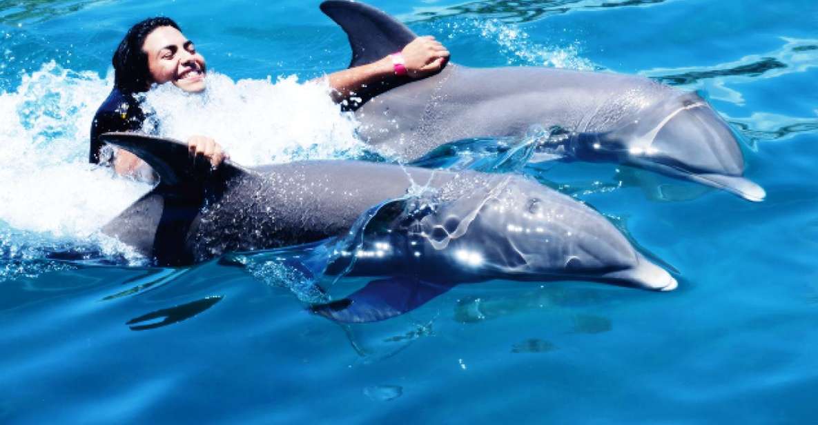 VIP Swim With Dolphins at Ocean World Puerto Plata - Pickup Information