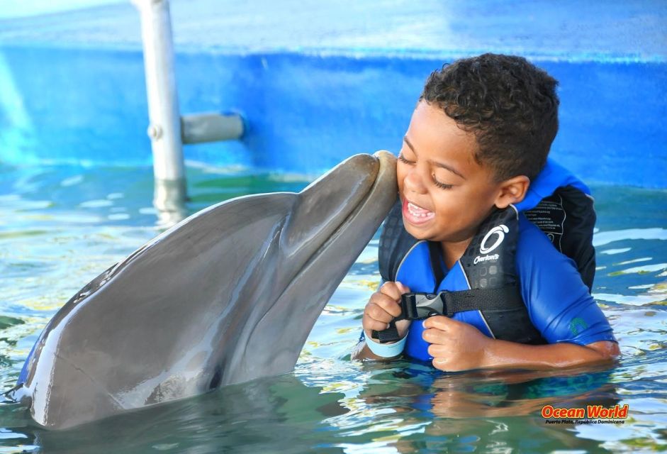 VIP Swim With Dolphins at Ocean World Puerto Plata - Snorkeling Equipment