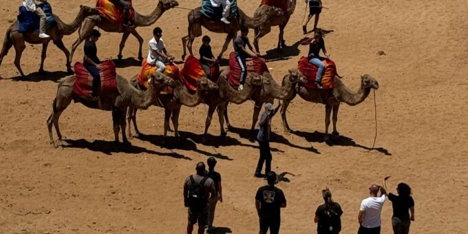 Vip Tangier Day Tour From the Spain Tarifa , - Meeting Point and Directions