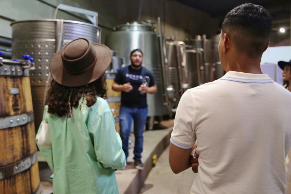 Vip Tasting - Guided Tour in the Winery