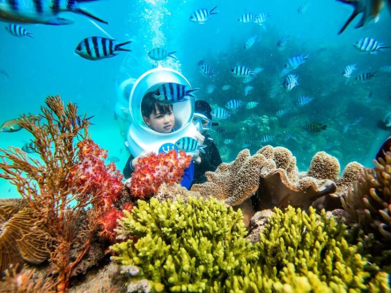 VIP TOUR 3 ISLANDS TRIP BY SPEEDBOAT IN PHU QUOC ISLAND - Important Information