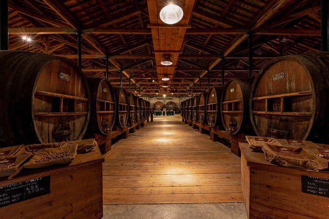 VIP Tour of the Cellars and Wine and Vermouth Tastings - Discovering Unique Wine Aging Methods