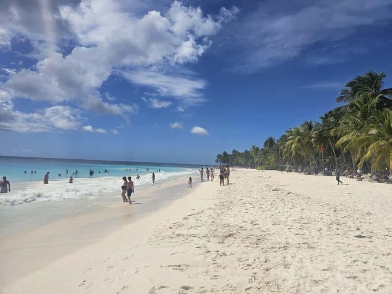 VIP tour to Saona Island by speedboat with a visit to paradise beaches - Key Points