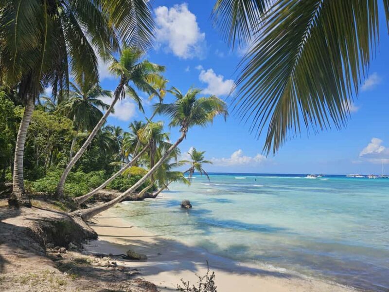 VIP tour to Saona Island by speedboat with a visit to paradise beaches - An In-Depth Look at the Tour Itinerary and Experiences