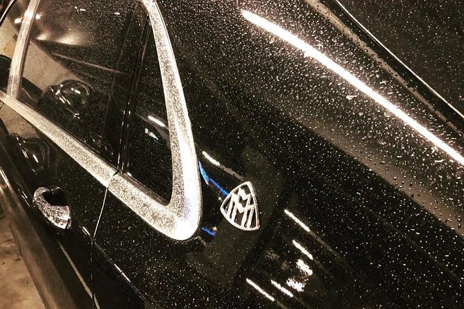 VIP Transfer From Schiphol Airport Review - Accessibility Details