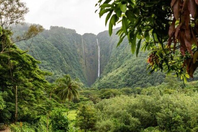 VIP Waimea Falls and Hiking Tour with Limousine Transport - FAQ
