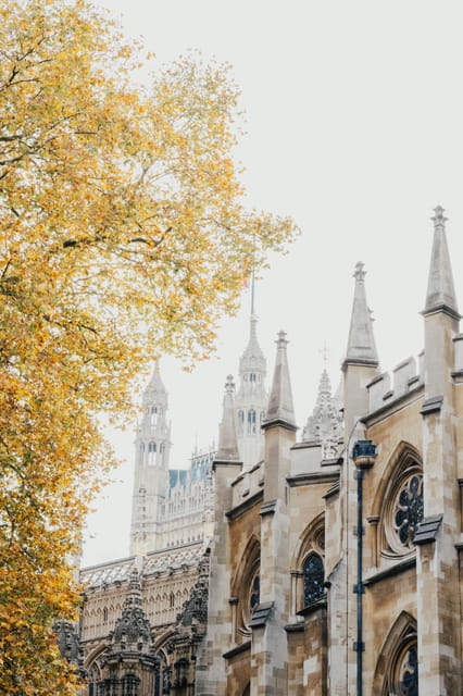VIP Westminster Abbey & Upper Gallery and Buckingham Palace - Who Should Book This Tour?