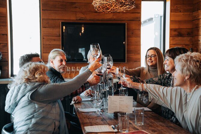 VIP Wine Experience from Queenstown Including Gourmet Lunch. - Key Points