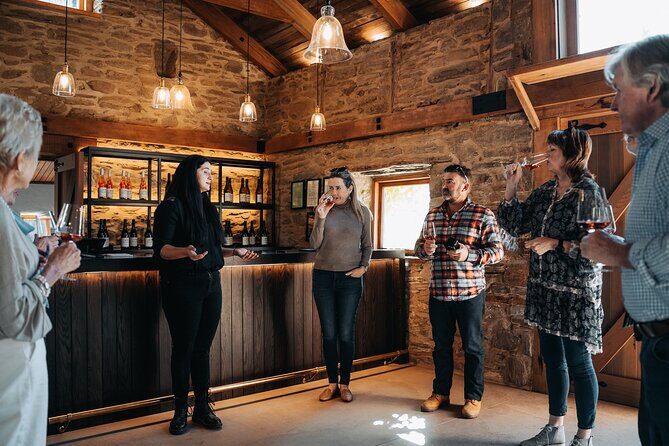 VIP Wine Experience from Queenstown Including Gourmet Lunch. - Who Will Appreciate This Tour?