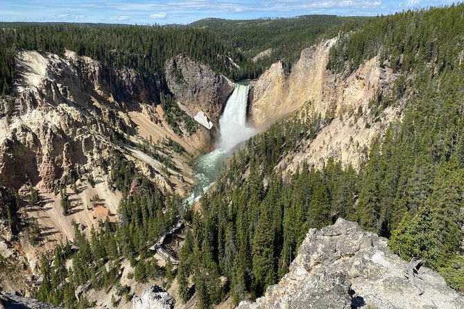 VIP Yellowstone Private Tour From Jackson WY - Wildlife Spotting Opportunities
