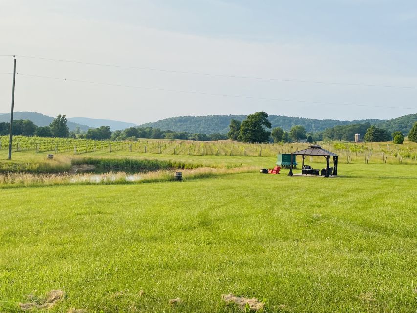 Virginia Wineries Tours: Experience Virginia Wineries - Key Points