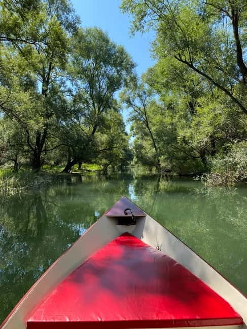 Virpazar: Amazon wilderness speed boat cruise - Key Points