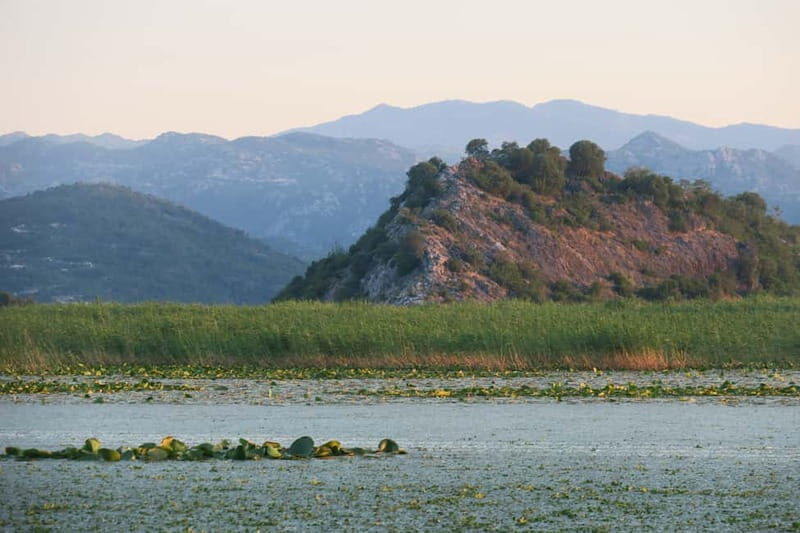 Virpazar: Amazon wilderness speed boat cruise - Exploring the Lake Skadar Wilderness by Speed Boat