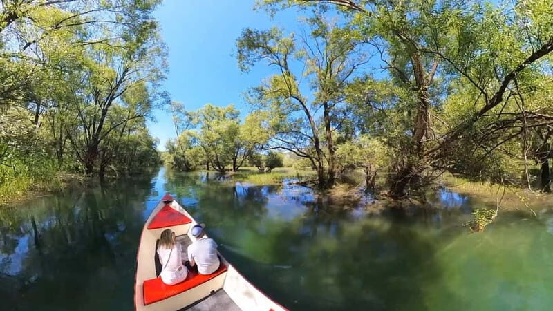 Virpazar: Amazon wilderness speed boat cruise - Final Thoughts — Who Will Love This Experience?