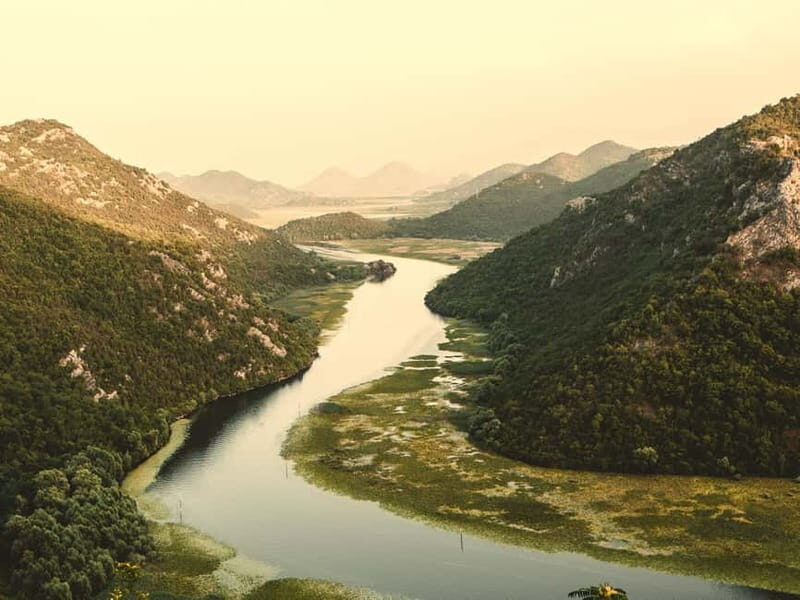 Virpazar: Guided Lake Skadar Cruise and Crnojevia River - An In-Depth Look at the Lake Skadar Boat Tour