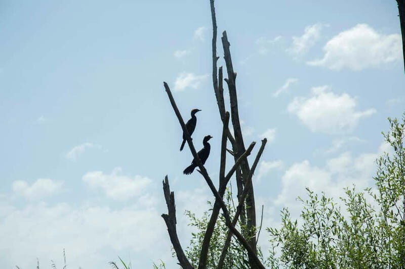 Virpazar: Historical & Nature Boat Adventure on Lake Skadar - The Sum Up: Is It Worth It?