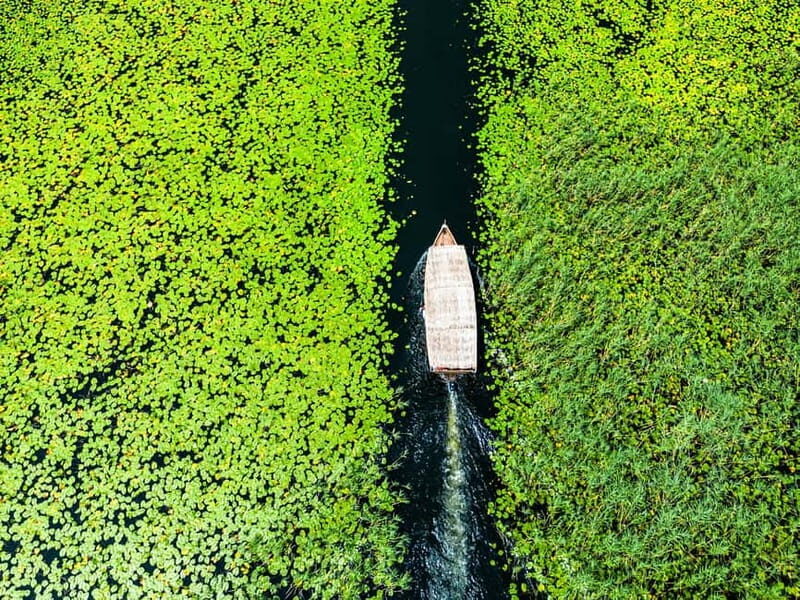 Virpazar: Lake Skadar Private Wildlife Cruise & Wine Tasting - Key Points