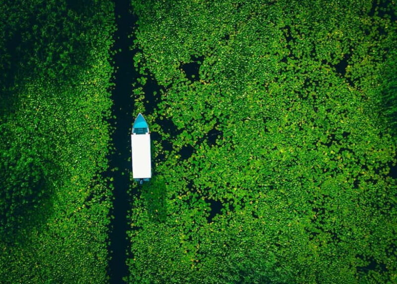 Virpazar: Private & Group Guided Lake Skadar Boat Tour - Practical Considerations