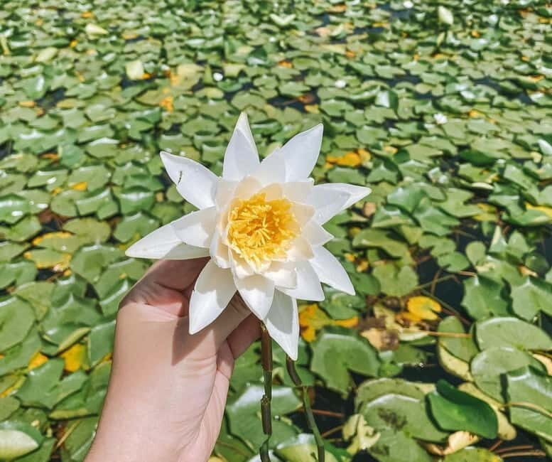 Virpazar: Skadar Lake by Boat and Kom Monastery Guided Tour - The Sum Up