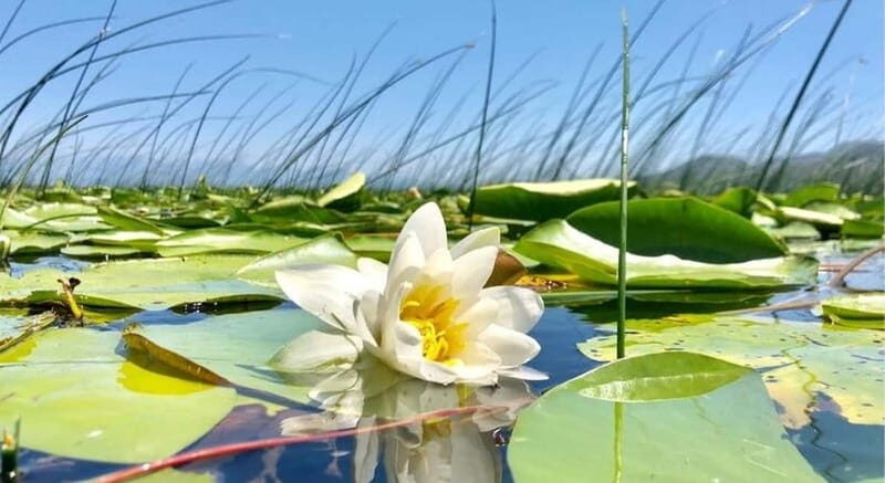Virpazar : Skadar Lake Group Tour With Bird watching - Key Points