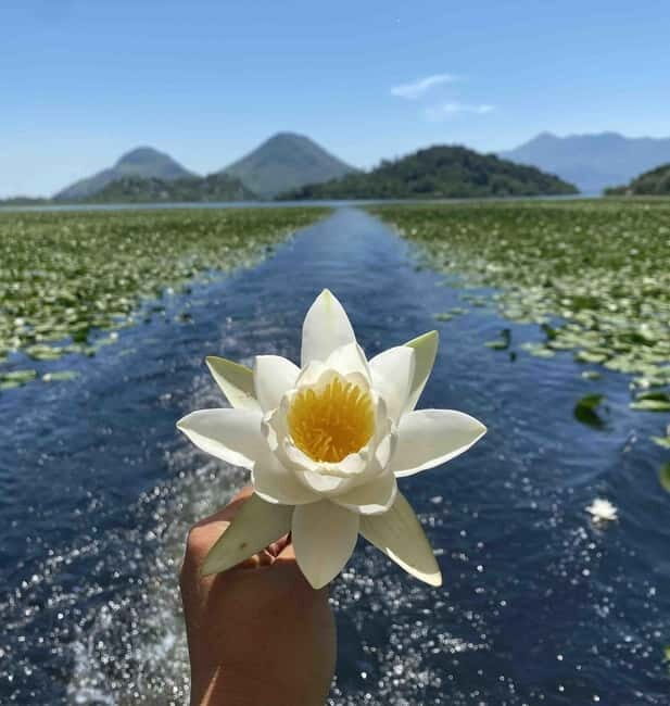 Virpazar: Skadar Lake National Park Guided Boat Tour - Key Points 