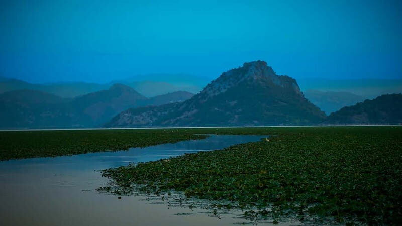 Virpazar: Skadar Lake PRIVATE Boat Tour to KOM MONASTERY - The Sum Up