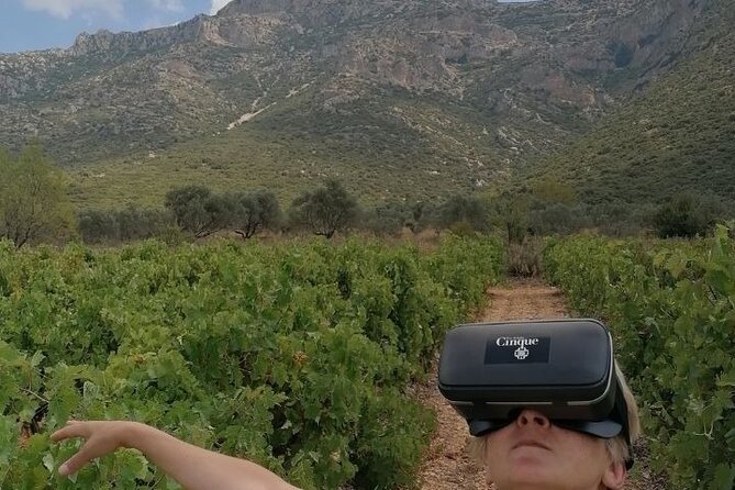 Virtual Greek Wine Tasting - Meeting and Logistics